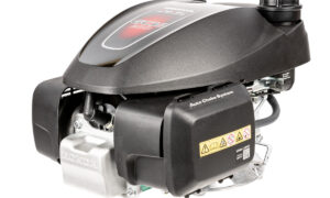 Silnik Honda GCV200 CEDKS56S-H (482038)
