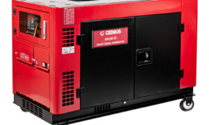 Agregat prądotwórczy Cedrus CEDDG12E-3F (CEDDG12E-3F)
