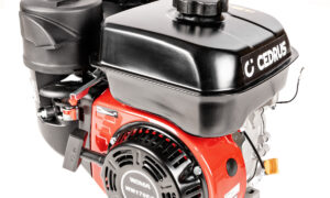 Silnik WM170F/P CEDRUS glebogryzarka GL10 (T010330199)