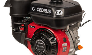 Silnik WM170-2/P CEDRUS glebogryzarka GL09 (WM170-2/P)