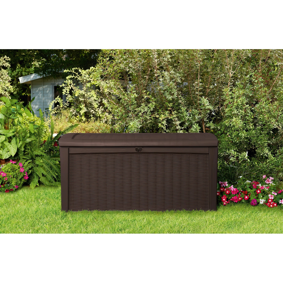 BORNEO SKRZYNIA BROWN (001362) - obrazek 3