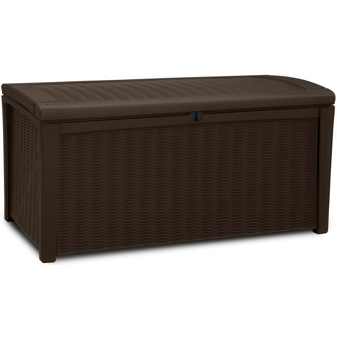 BORNEO SKRZYNIA BROWN (001362)