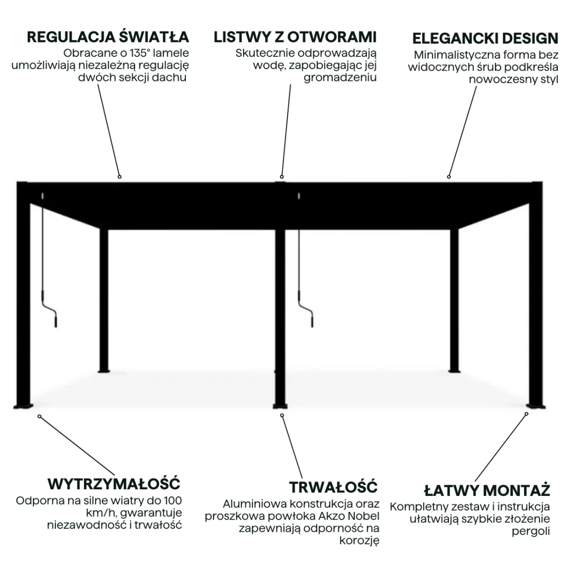 DELUXE 3.6x6 PERGOLA TARASOWA ANTHRACITE (005889) - obrazek 4