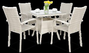 FIESTA/LUGO 4+1 ZESTAW WHITE (002844)