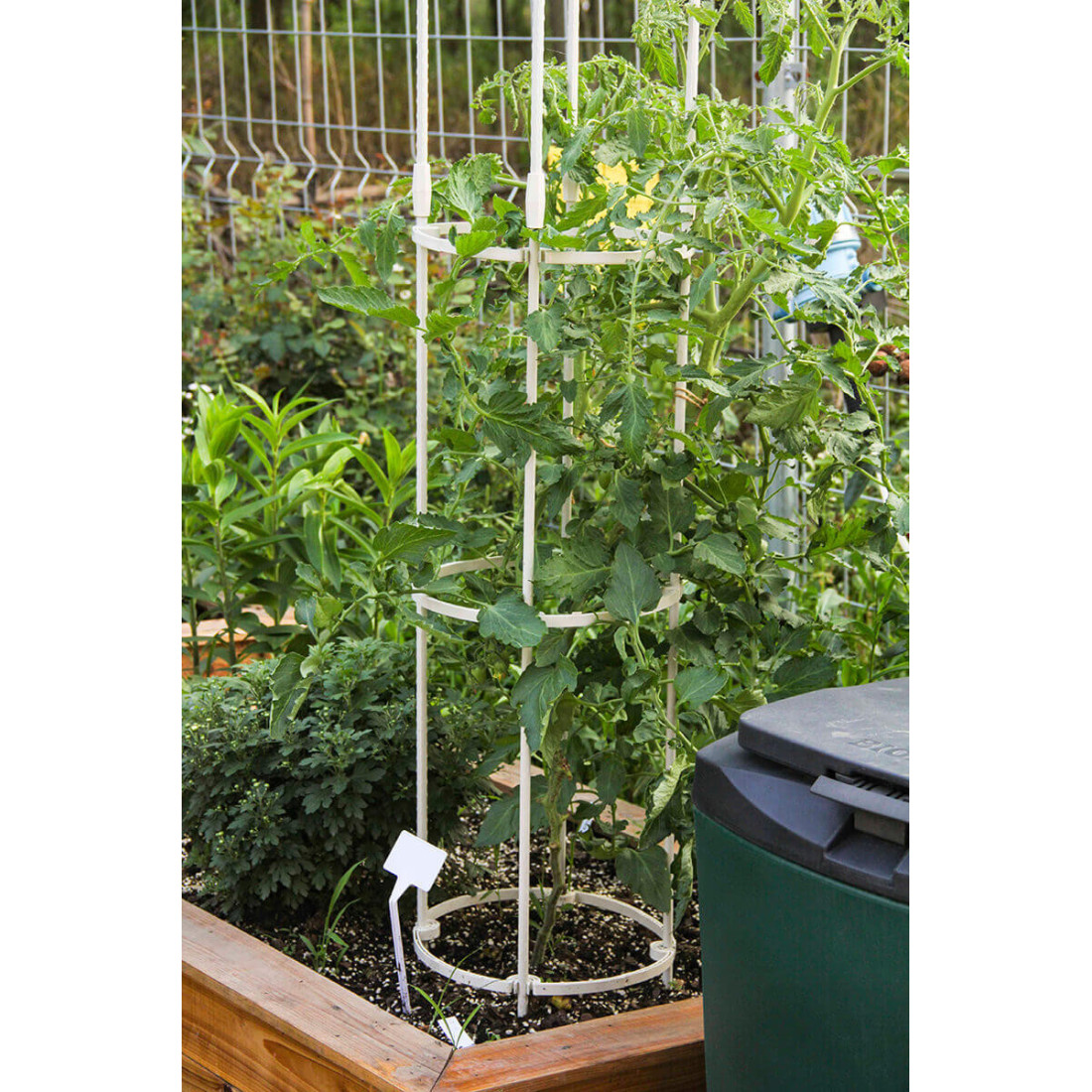 PERGOLA NA RÓŻE BIAŁA 180CM (006756) - obrazek 6
